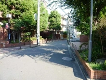 【東京都/渋谷区幡ヶ谷】ビオライフハウス 前面道路