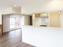 【東京都/新宿区西新宿】ハイネスロフティ LDK