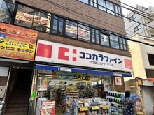 【東京都/板橋区板橋】ライオンズマンション板橋第3 ココカラファイン仲宿店（現地より約450m）