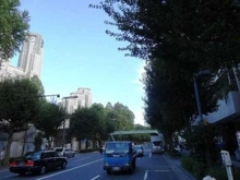 【東京都/新宿区西新宿】新宿パークサイド永谷 前面道路