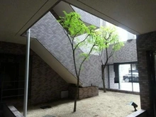 【東京都/世田谷区三宿】クレッセント池尻大橋 敷地内