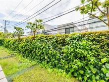 【東京都/渋谷区代々木】ライオンズヒルズ参宮橋 敷地内