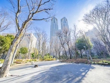 【東京都/新宿区西新宿】パークタワー西新宿 新宿中央公園（現地より約600m）