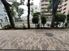【東京都/目黒区南】キャニオングランデ碑文谷南 前面道路