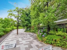 【東京都/渋谷区神宮前】THE COURT神宮外苑 敷地内