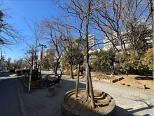 【東京都/渋谷区初台】ライオンズプラザ初台グランフォート 玉川上水旧水路緑道（現地より約305m）