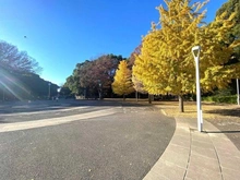 【東京都/渋谷区千駄ヶ谷】パークコート神宮北参道　ザ　タワー 代々木公園（現地より約1,400m）