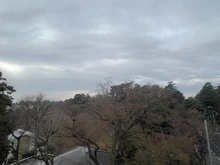 【東京都/武蔵野市御殿山】井の頭第2パークサイドマンション 眺望