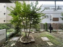 【東京都/三鷹市下連雀】パークハイム三鷹 専用庭