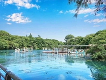 【東京都/三鷹市下連雀】プラウドシティ吉祥寺  井の頭恩賜公園（現地より約400m）