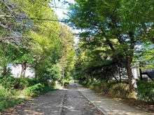【東京都/渋谷区大山町】パークコート渋谷大山町ザ・プラネ悠邸 大山緑道（現地より約160m）