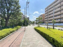 【東京都/調布市調布ケ丘】調布が丘パーク・ホームズ 前面道路