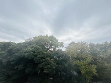 【東京都/世田谷区奥沢】マコト・パレス 眺望