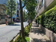 【東京都/新宿区百人町】THEパームス西戸山 前面道路