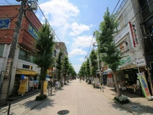 【東京都/世田谷区等々力】シャンボール尾山台 尾山台商店街（現地より約160m）