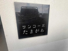 【神奈川県/川崎市高津区久地】サンコーポたまがわ マンション表札