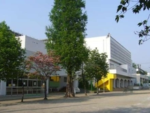 【東京都/世田谷区等々力】コスモ自由が丘 目黒区立宮前小学校（現地より約800m）