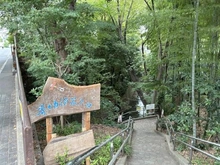 【東京都/世田谷区野毛】野毛ヒミコマンション 等々力渓谷入口（現地より約1,100m）