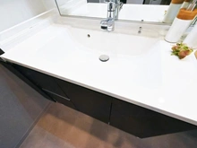 【東京都/西東京市ひばりが丘】フォレストレイクひばりが丘 D棟 洗面室：洗面ボール