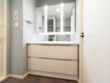 【東京都/町田市三輪緑山】藤和ライブタウン緑山壱番館 洗面室