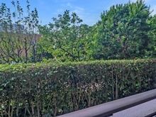 【神奈川県/川崎市麻生区上麻生】新百合ヶ丘パークハウス2番街 眺望