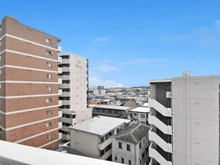 【神奈川県/川崎市多摩区登戸】登戸ハイデンス 眺望