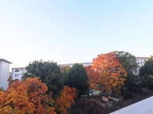 【神奈川県/川崎市麻生区下麻生】麻生台団地 22号棟 眺望