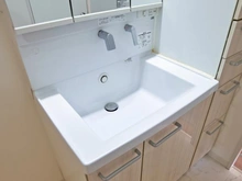 【神奈川県/川崎市多摩区菅仙谷】パークランドふじのき台 20号棟 洗面室：洗面ボール