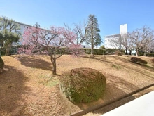 【東京都/町田市鶴川】鶴川二丁目住宅 11-2号棟 眺望