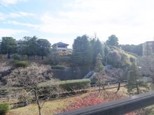 【神奈川県/川崎市麻生区白山】新ゆりグリーンタウン　さつき街区 2号棟 眺望：LDK側バルコニーから