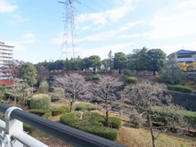 【神奈川県/川崎市麻生区白山】新ゆりグリーンタウン　さつき街区 2号棟 眺望：LDK側バルコニーから