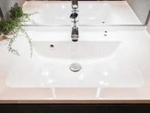 【神奈川県/川崎市多摩区登戸】ダイアパレスタピオ向ケ丘遊園 洗面室：洗面ボール