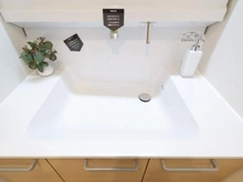 【神奈川県/川崎市多摩区中野島】多摩川テラス 洗面室：洗面ボール