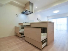 【神奈川県/横浜市都筑区大熊町】大倉山キャッスル キッチン：収納