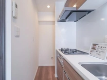 【神奈川県/川崎市高津区久地】エクセレント玉川 キッチン