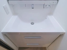 【神奈川県/川崎市高津区久地】エクセレント玉川 洗面室：洗面ボール