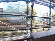 【神奈川県/川崎市宮前区南平台】平住宅 2号棟 眺望：大規模修繕工事中