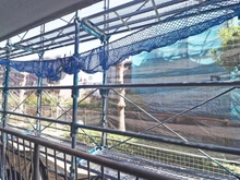 【神奈川県/川崎市宮前区南平台】平住宅 2号棟 眺望：大規模修繕工事中