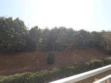 【神奈川県/海老名市杉久保北】南えびな杉久保サンパルク650A街区2号 眺望