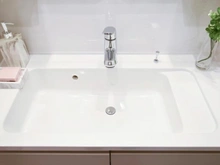 【東京都/八王子市散田町】ル・シック西八王子 洗面室：洗面ボール