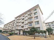 【神奈川県/横浜市港南区港南台】港南台つぐみ 18号棟 外観