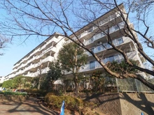 【神奈川県/横浜市都筑区大丸】メゾン桜が丘 10-2号棟 外観