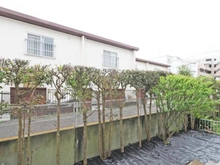【神奈川県/茅ヶ崎市中海岸】エミネンス茅ヶ崎 3号棟 専用庭