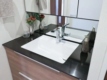 【東京都/豊島区雑司が谷】菱和パレス目白台グラーサ 洗面室：洗面ボール