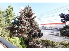 【神奈川県/藤沢市辻堂】ドラゴンマンション湘南辻堂壱番館 眺望
