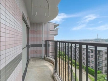 【神奈川県/横浜市保土ケ谷区藤塚町】保土ヶ谷グリーンタウン F棟 バルコニー