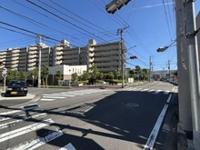 【神奈川県/横浜市港北区新吉田東】綱島ハイム 前面道路