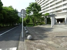 【神奈川県/横浜市都筑区南山田】港北パークヒルズ壱番館 前面道路