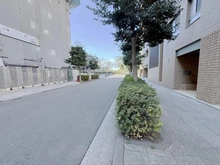 【神奈川県/横浜市港北区新横浜】セルアージュ新横浜 前面道路