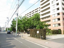 【神奈川県/横浜市港北区綱島西】ディアパークスコンフォートスクエア エントランス